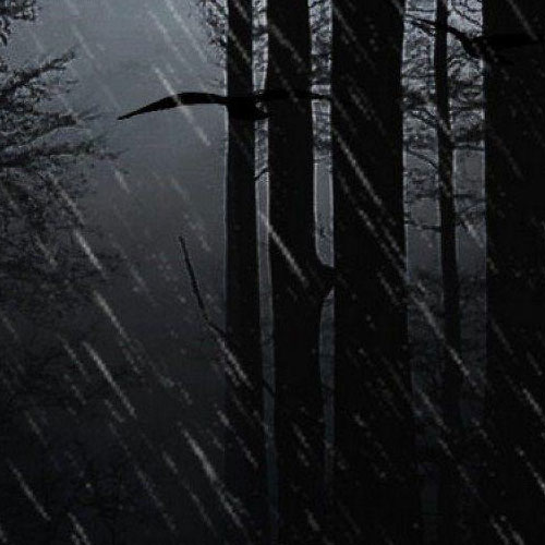 Rain in Woods + Tibetan Bowls