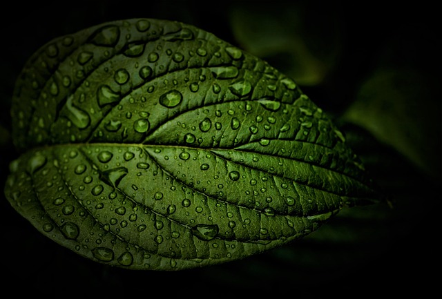 Gentle Night Rain